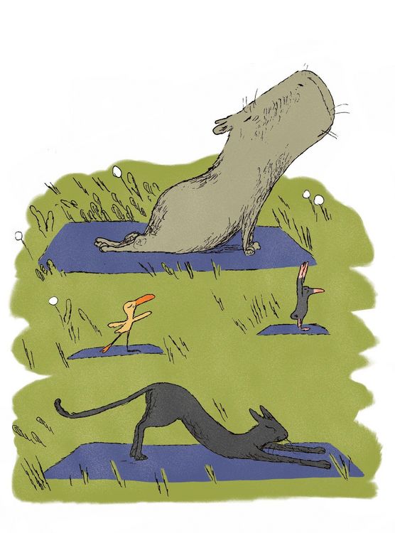 Produktbild: Die Weisheit des Capybara