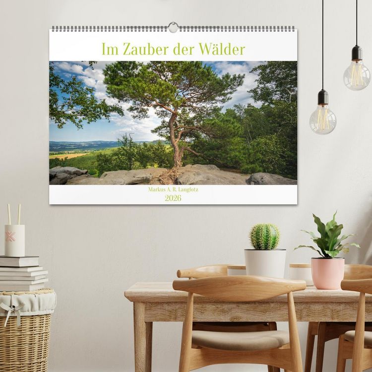 Produktbild: Im Zauber der W&auml;lder (Wandkalender 2026 DIN A2 quer), CALVENDO Monatskalender