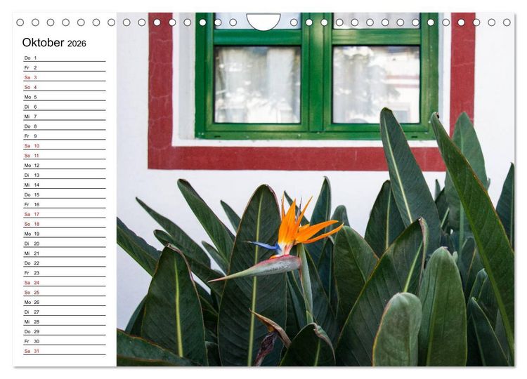 Produktbild: Strelitzien - die Paradiesv&ouml;gel unter den Blumen (Wandkalender 2026 DIN A4 quer), CALVENDO Monatskalender
