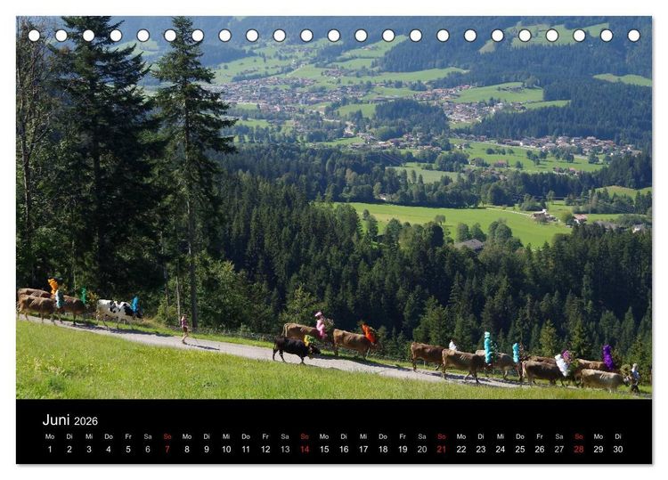 Produktbild: Almabtrieb in Tirol (Tischkalender 2026 DIN A5 quer), CALVENDO Monatskalender