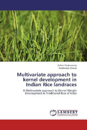 Produktbild: Chakravorty, A: Multivariate approach to kernel development