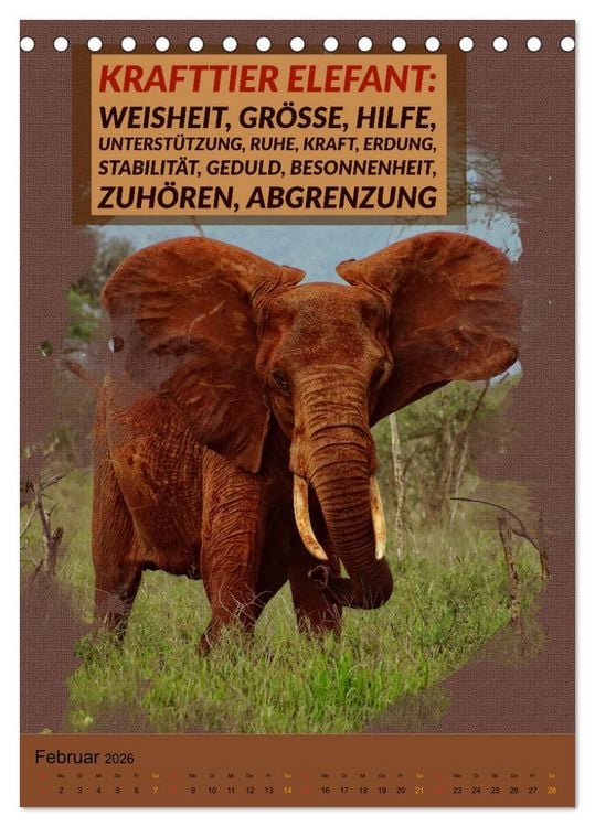 Produktbild: Afrikanische Krafttiere und deren Bedeutung (Tischkalender 2026 DIN A5 hoch), CALVENDO Monatskalender