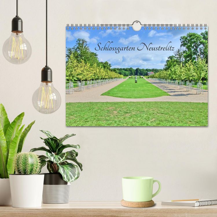 Produktbild: Schlossgarten Neustrelitz (Wandkalender 2026 DIN A4 quer), CALVENDO Monatskalender