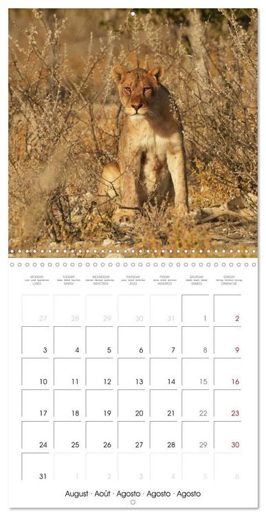 Produktbild: Namibian Adventure (Wall Calendar 2026 12 &times; 12 Inch) CALVENDO 12 Month Wall Calendar
