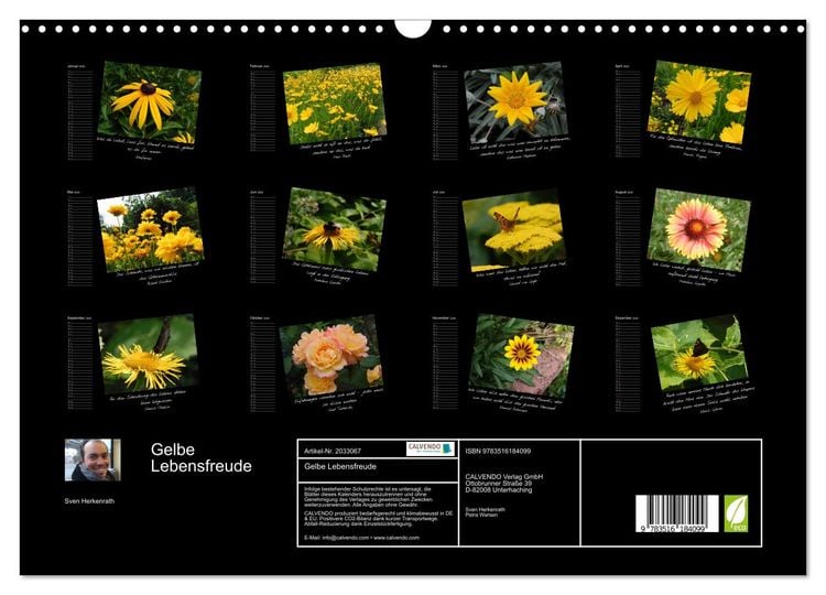 Produktbild: Gelbe Lebensfreude (Wandkalender 2026 DIN A3 quer), CALVENDO Monatskalender