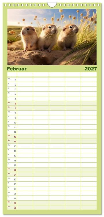 Produktbild: Familienplaner 2027 - Nach Art der Lemminge mit 5 Spalten (Wandkalender, 21 x 45 cm) CALVENDO