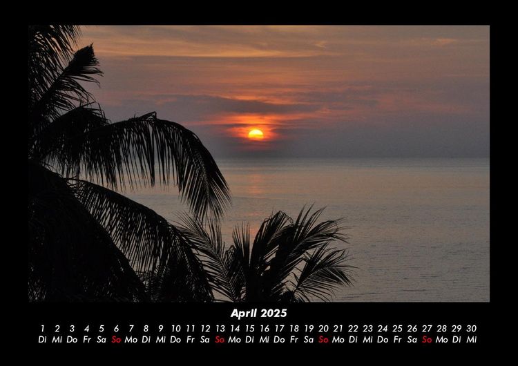 Produktbild: Palmentraum 2025 Fotokalender DIN A3