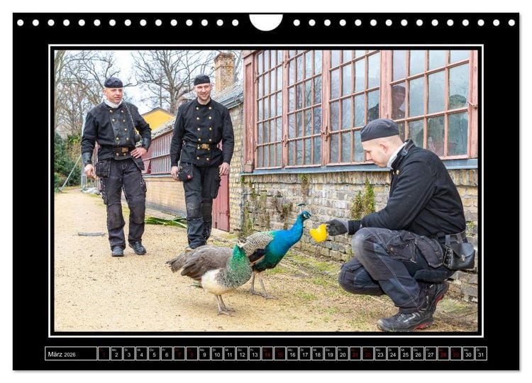 Produktbild: Schornsteinfeger &uuml;ber Berlin - Gl&uuml;cksblicke (Wandkalender 2026 DIN A4 quer), CALVENDO Monatskalender
