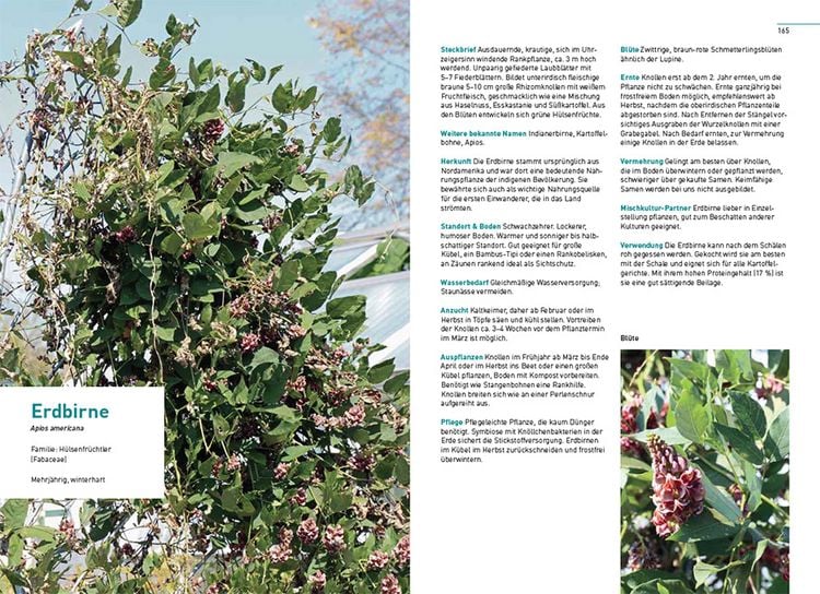 Produktbild: Klimastarke Gem&uuml;se