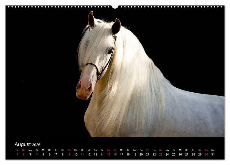 Produktbild: Spaniens stolze Pferde (hochwertiger Premium Wandkalender 2026 DIN A2 quer), Kunstdruck in Hochglanz