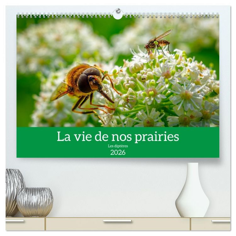Produktbild: La vie de nos prairies - Les dipt&egrave;res (Calendrier mural 2026 DIN A2 vertical) calendrier de bureau