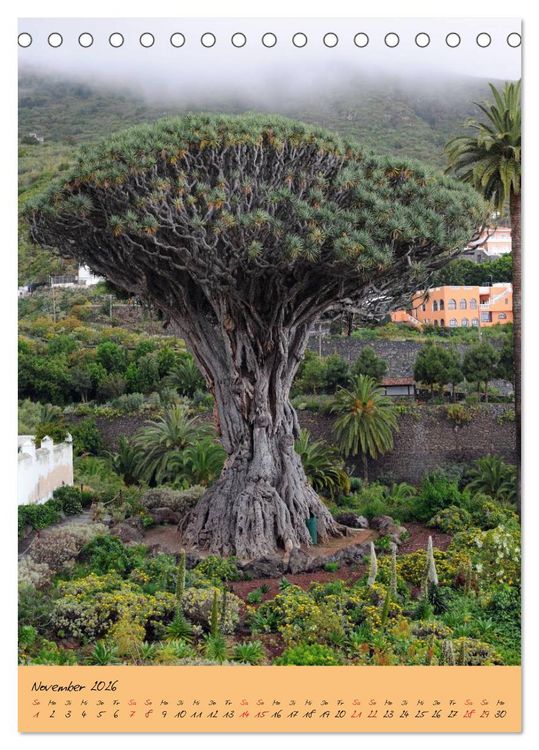 Produktbild: Vulkaninsel Teneriffa (Tischkalender 2026 DIN A5 hoch), CALVENDO Monatskalender