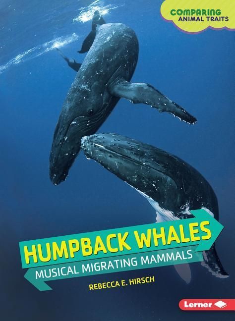 Produktbild: Hirsch, R: Humpback Whales