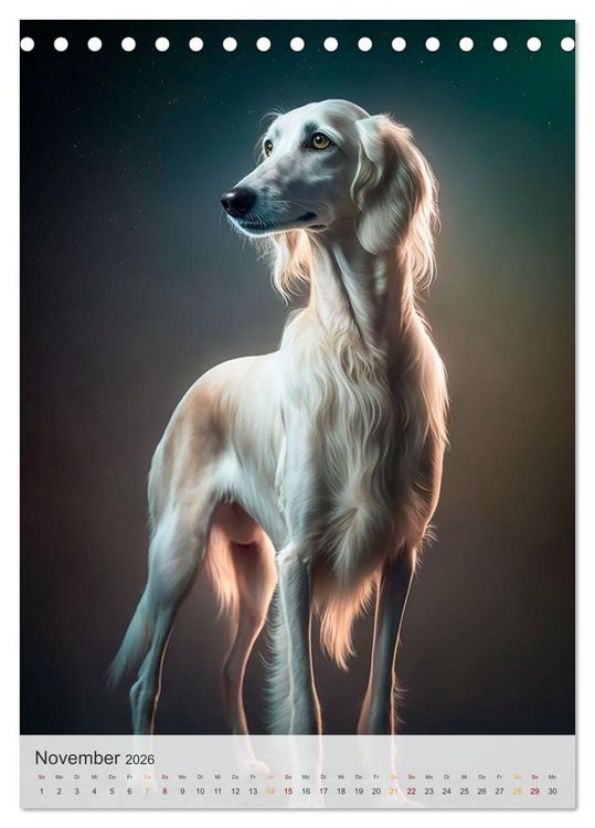 Produktbild: Persischer Windhund (Tischkalender 2026 DIN A5 hoch), CALVENDO Monatskalender
