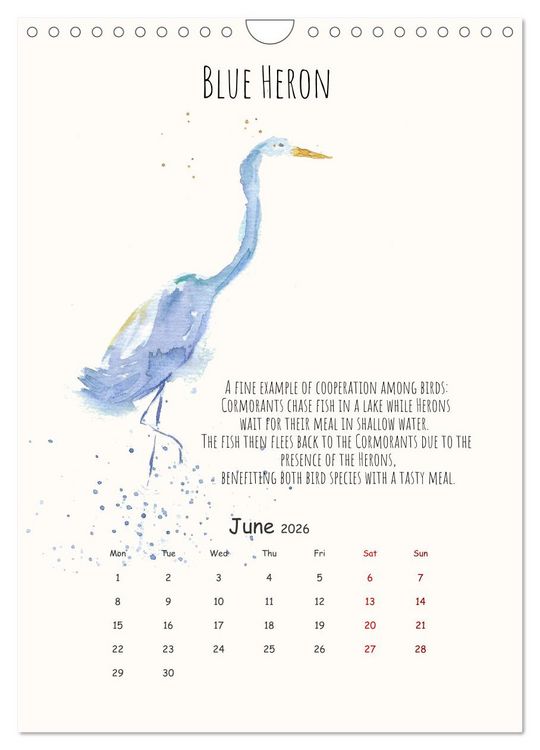 Produktbild: Symbiosis, the story of collaborations in nature (Wall Calendar 2026 DIN A4 portrait), CALVENDO 12 Month Wall Calendar