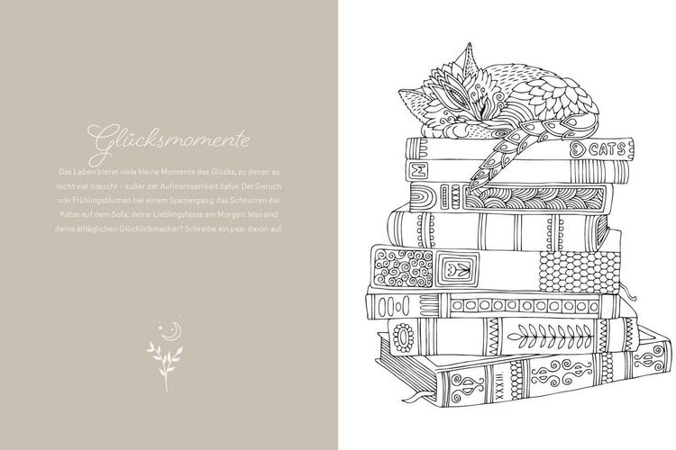 Produktbild: Magic Dreams | Ausmalen & loslassen