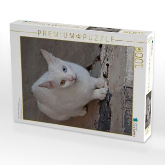 Produktbild: CALVENDO Puzzle Katze der Rasse T&uuml;rkisch Angora | 1000 Teile Lege-Gr&ouml;&szlig;e 64x48cm Foto-Puzzle f&uuml;r gl&uuml;ckliche Stunden