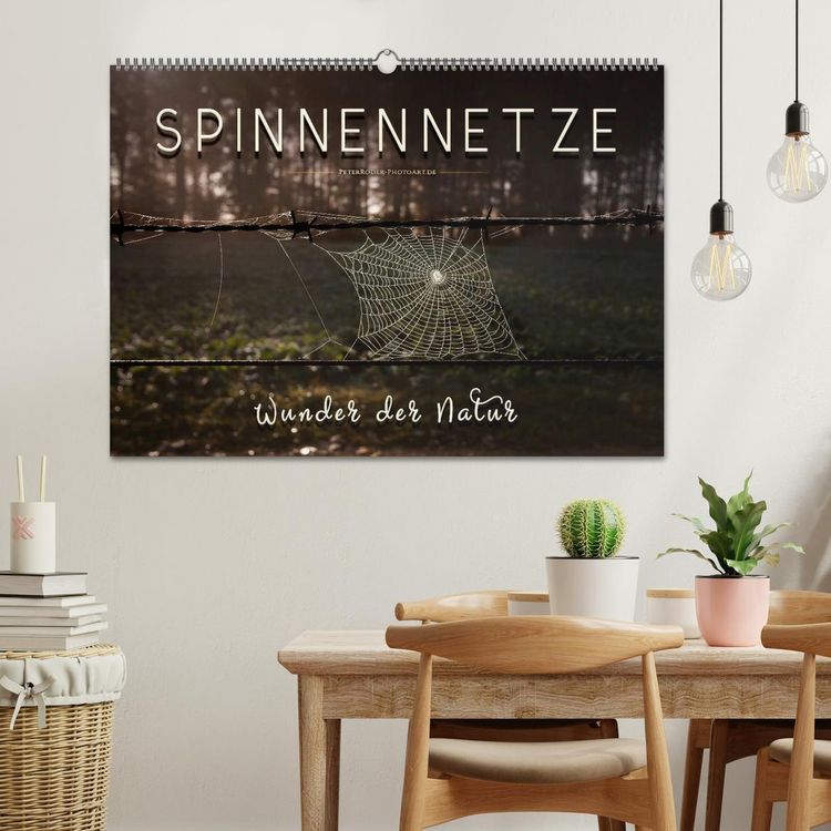 Produktbild: Spinnennetze - Wunder der Natur (Wandkalender 2026 DIN A2 quer), CALVENDO Monatskalender