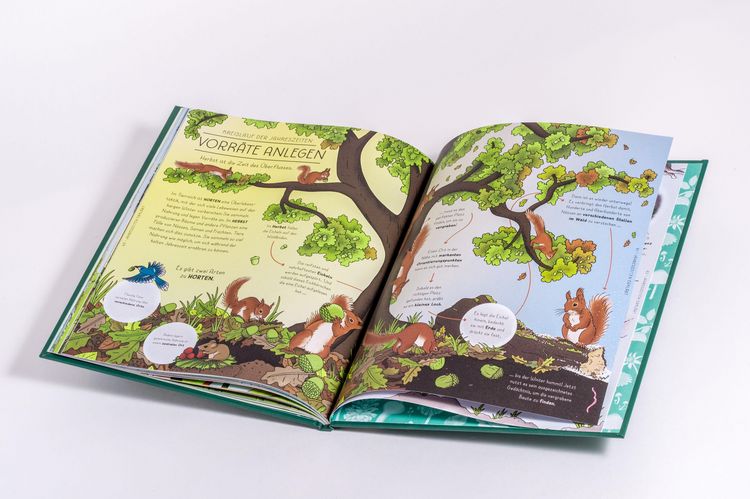 Produktbild: Der Natur-Erkl&auml;rer