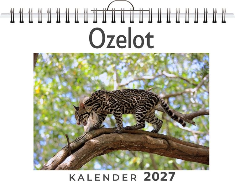 Produktbild: Ozelot