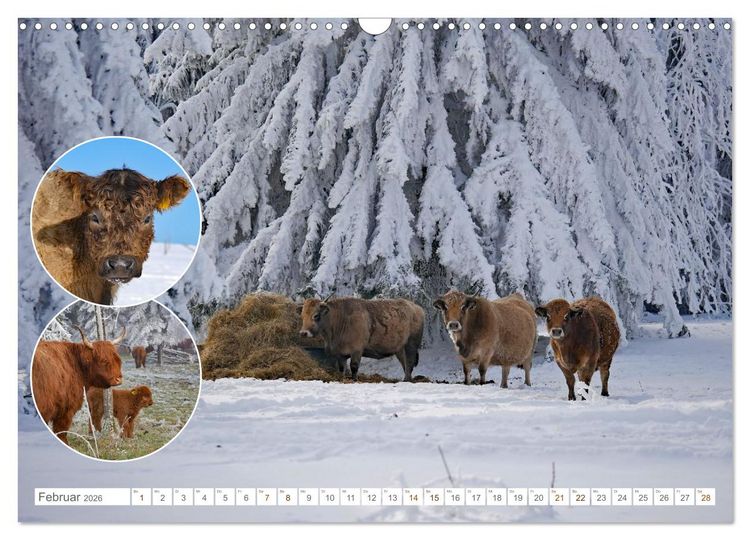 Produktbild: Weidetiere - Landschaftsgestalter seit Jahrhunderten (Wandkalender 2026 DIN A3 quer), CALVENDO Monatskalender