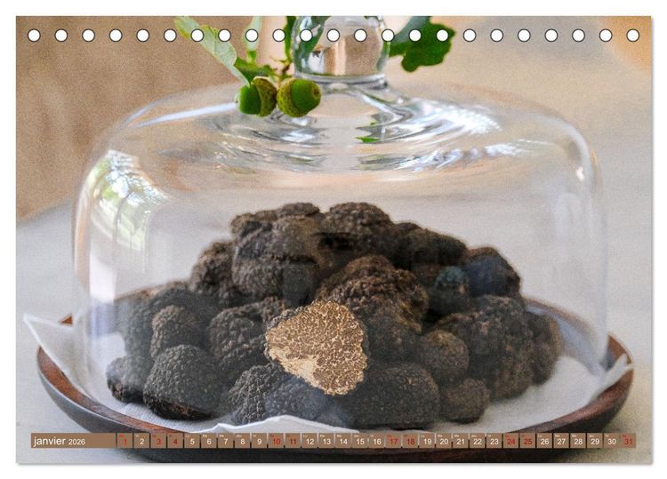 Produktbild: Tr&eacute;sors de truffes fran&ccedil;aises (Calendrier de bureau 2026 DIN A5 vertical), CALVENDO calendrier mensuel