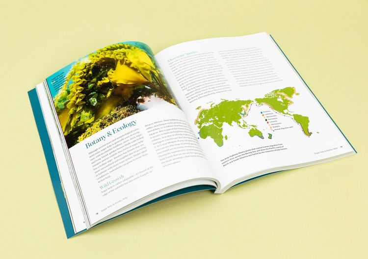 Produktbild: Edible & Medicinal Seaweeds
