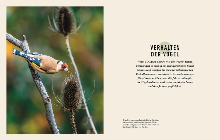 Produktbild: So locke ich V&ouml;gel in meinen Garten