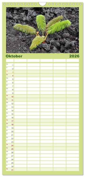 Produktbild: Familienplaner 2026 - Hawaii - Land of Aloha mit 5 Spalten (Wandkalender, 21 x 45 cm) CALVENDO