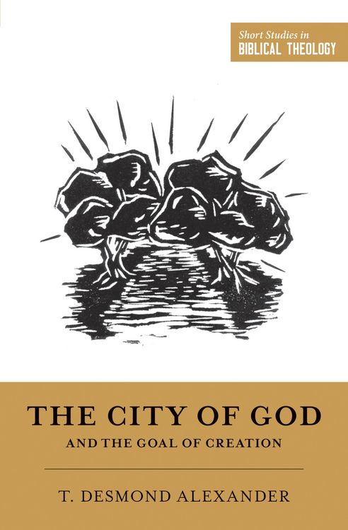 Produktbild: The City of God and the Goal of Creation