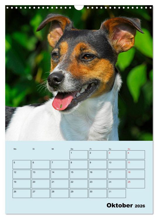 Produktbild: Familienplaner Jack und Parson Russell Terrier (Wandkalender 2026 DIN A3 hoch), CALVENDO Monatskalender