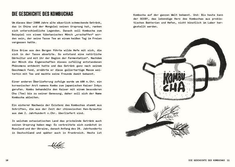 Produktbild: Kombucha do it yourself