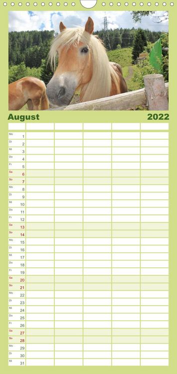 Produktbild: Familienplaner Alpenpferde (Wandkalender 2022 , 21 cm x 45 cm, hoch)