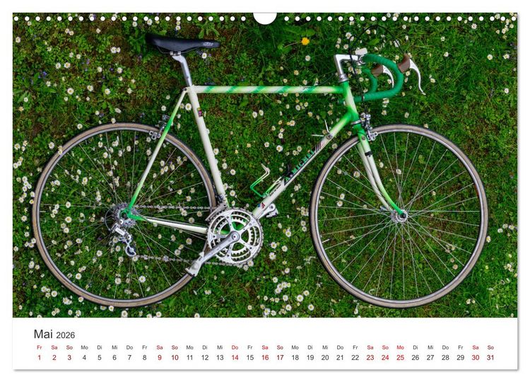 Produktbild: Stahlrenner - Rennrad-Klassiker aus Europa (Wandkalender 2026 DIN A3 quer), CALVENDO Monatskalender