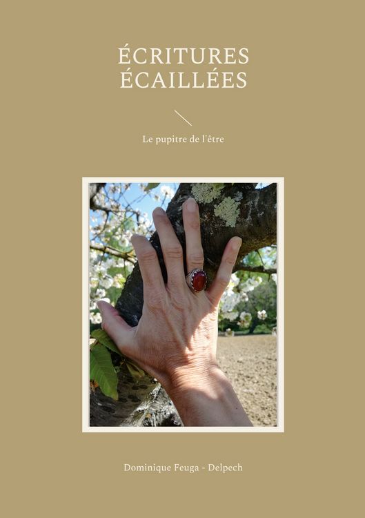 Produktbild: &Eacute;critures &eacute;caill&eacute;es