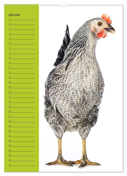 Produktbild: Kunterbunte H&uuml;hner Truppe (hochwertiger Premium Wandkalender 2026 DIN A2 hoch), Kunstdruck in Hochglanz