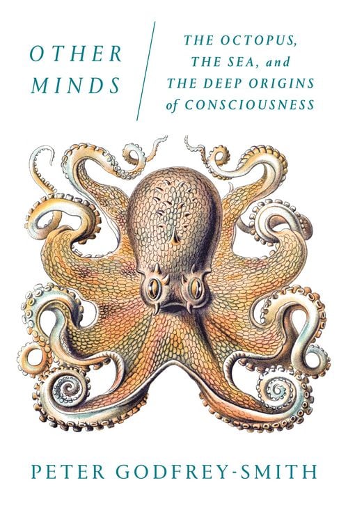 Produktbild: Other Minds
