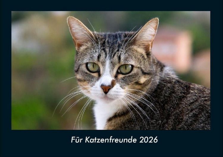 Produktbild: F&uuml;r Katzenfreunde 2026 Fotokalender DIN A4