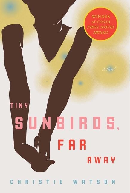 Produktbild: Tiny Sunbirds, Far Away