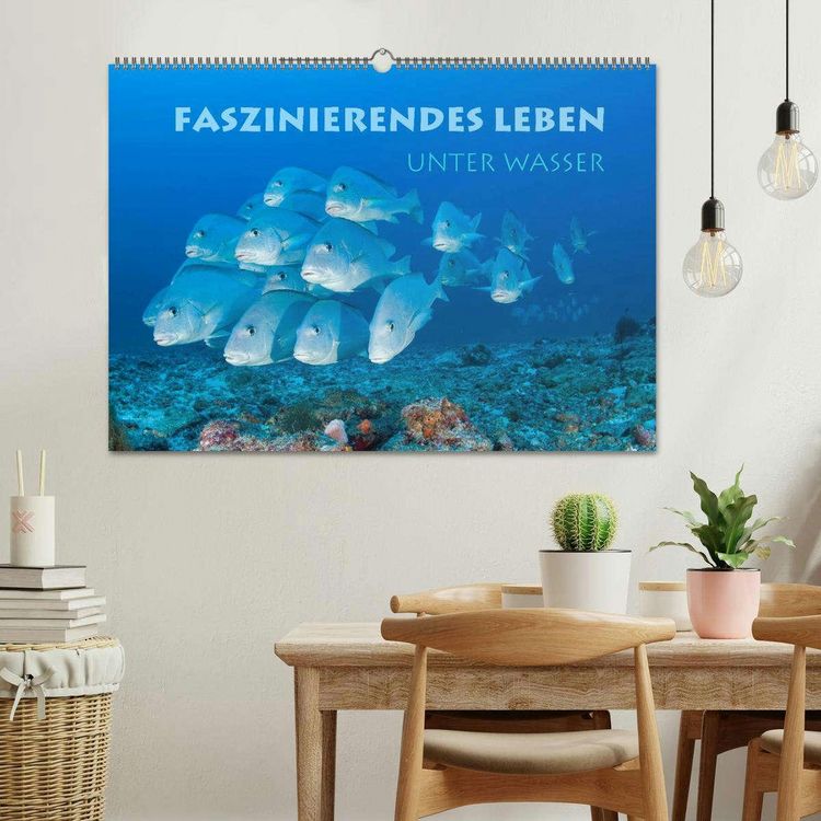 Produktbild: Faszinierendes Leben unter Wasser (Wandkalender 2026 DIN A2 quer), CALVENDO Monatskalender