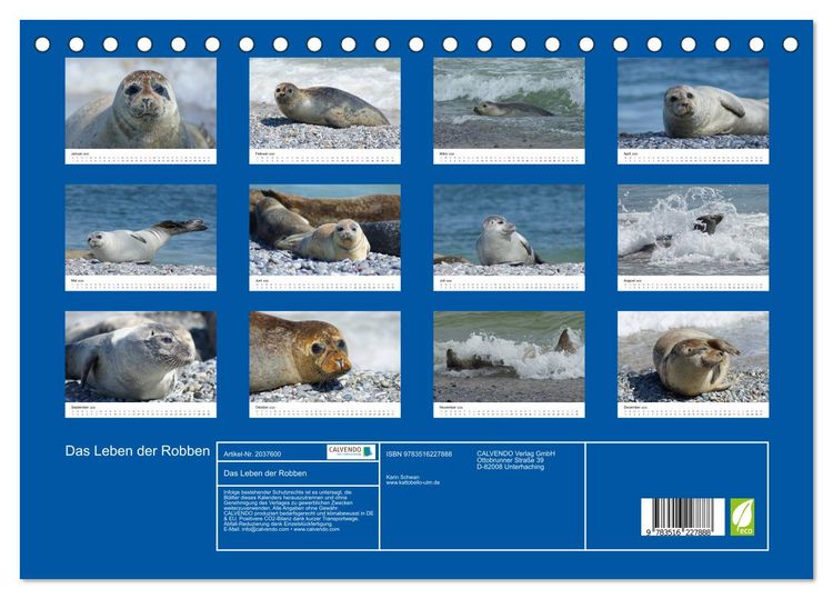 Produktbild: Das Leben der Robben (Tischkalender 2026 DIN A5 quer), CALVENDO Monatskalender