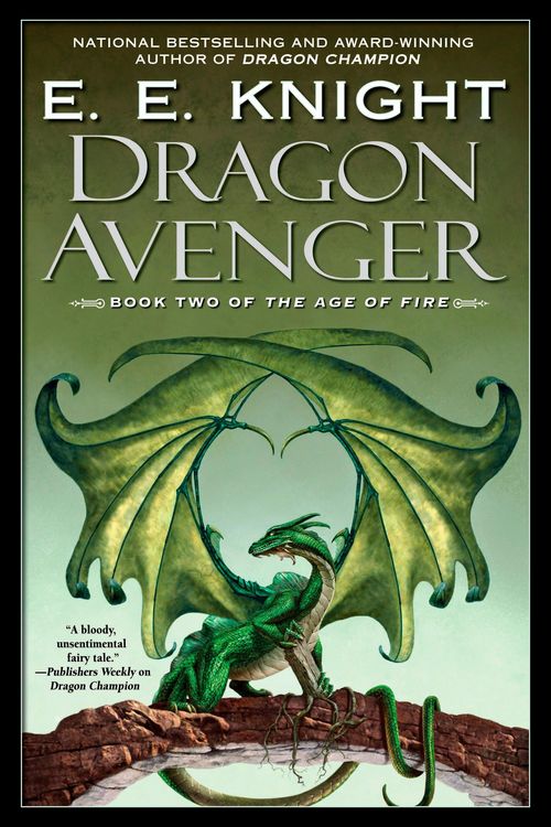 Produktbild: Dragon Avenger