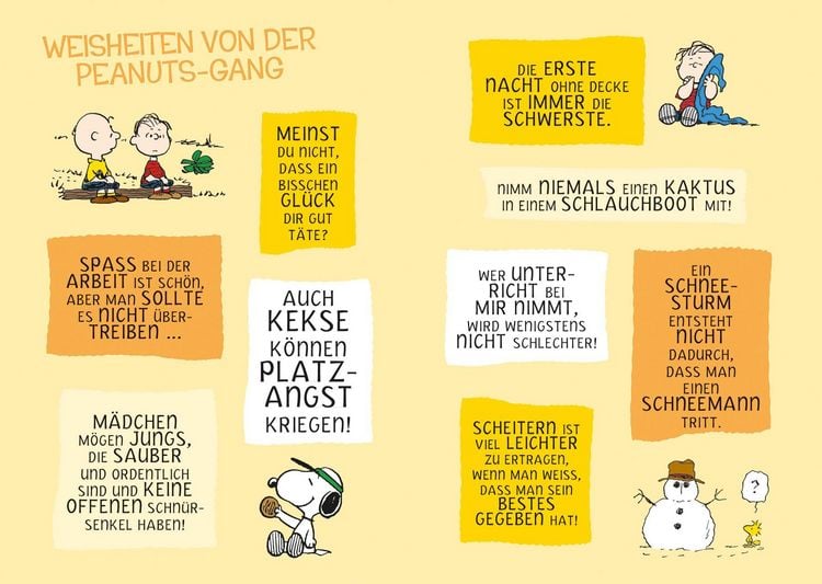 Produktbild: Peanuts: Meine Freunde