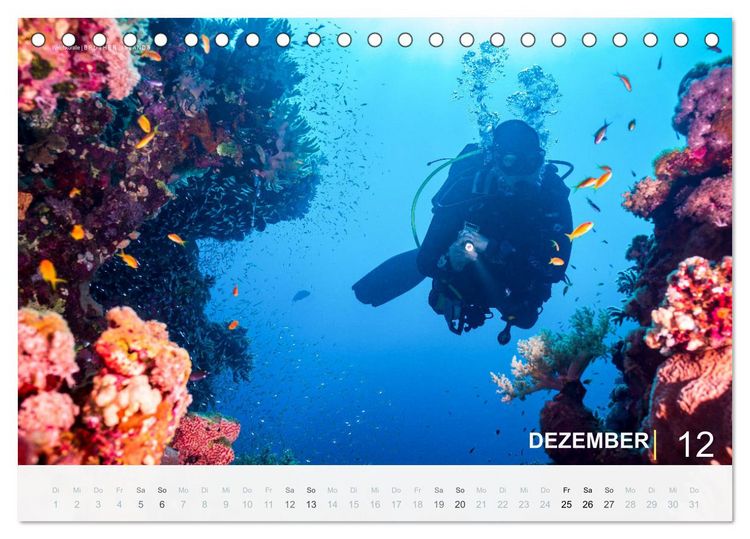 Produktbild: Die sch&ouml;nsten Korallenriffe zum Tauchen in &Auml;gypten (Tischkalender 2026 DIN A5 quer), CALVENDO Monatskalender