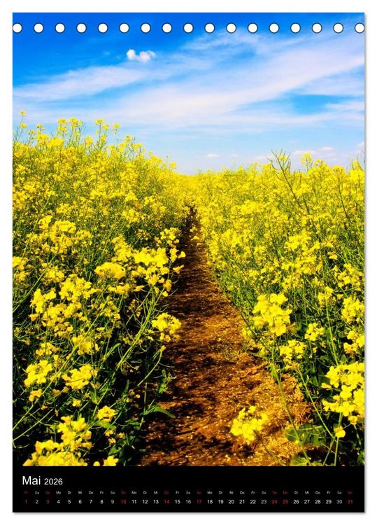 Produktbild: Landschaften (Tischkalender 2026 DIN A5 hoch), CALVENDO Monatskalender