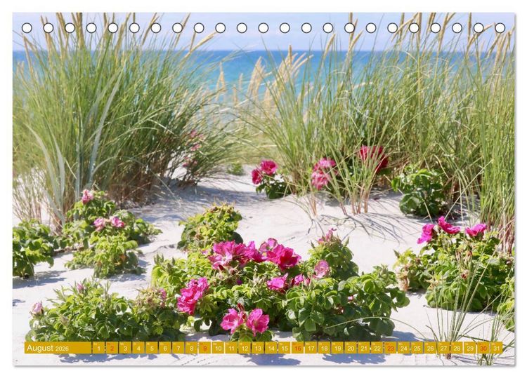 Produktbild: Insel Hiddensee - Stimmungen und Sehns&uuml;chte (Tischkalender 2026 DIN A5 quer), CALVENDO Monatskalender