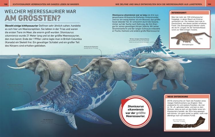 Produktbild: Total verr&uuml;ckt! Dinosaurier