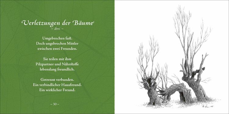 Produktbild: Bäume