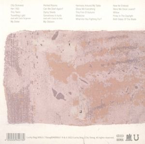 Produktbild: Past imperfect,The Best of Tindersticks '92 - 21'