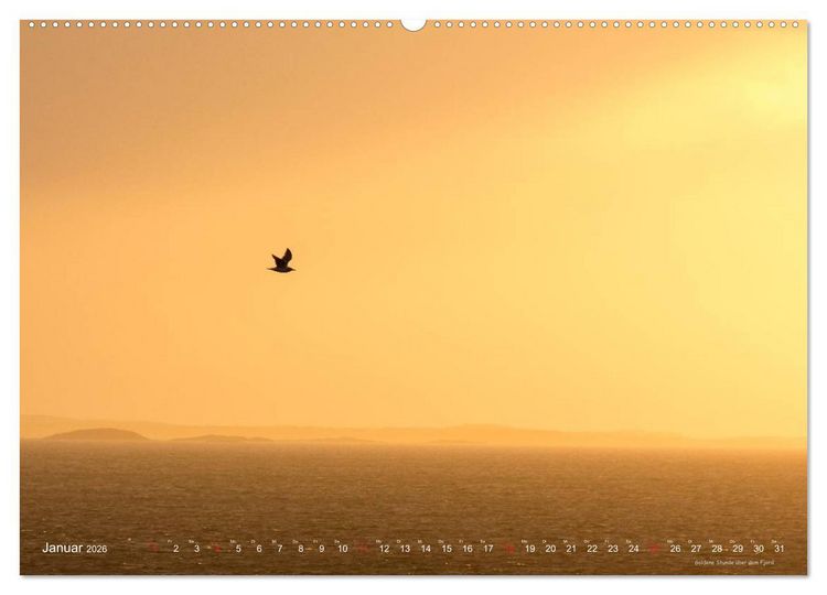 Produktbild: Hurtigruten im Winter - Hunting the light (Wandkalender 2026 DIN A2 quer), CALVENDO Monatskalender